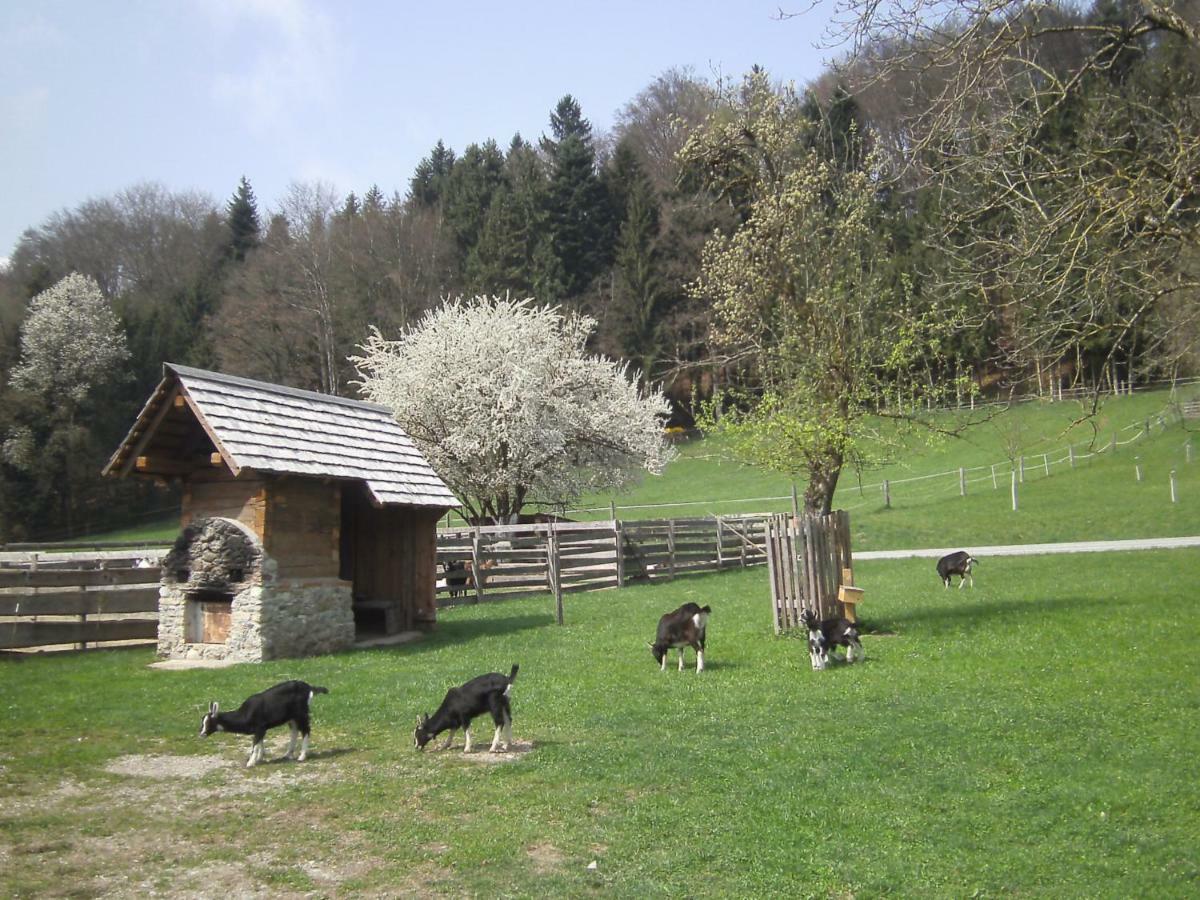 Kirchberg bei Mattighofen Bauernhof Kaspergut 빌라 외부 사진